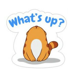 michelleannnocum avatar