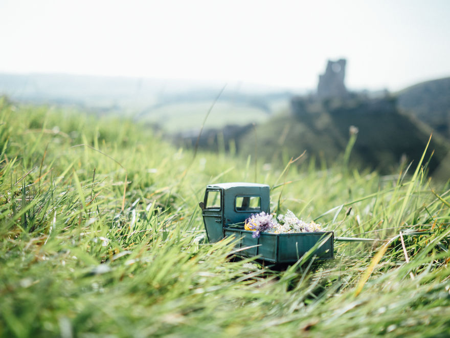 Flowers Delivery At Corfe Castle
