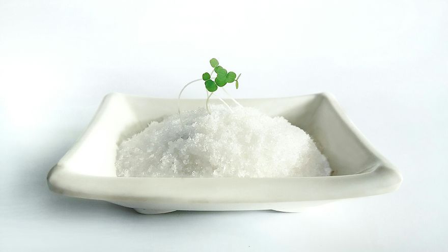 I Use Colorful Objects Around Home To Channel My Creative Concepts I Use Colorful Objects Around Home To Channel My Creative Concepts