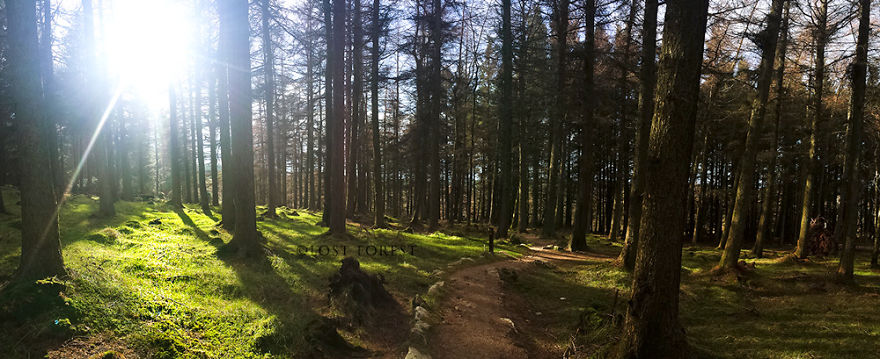 I Handpick Flowers From Irish Woodlands To Transform Them Into Beautiful Jewelry Pieces