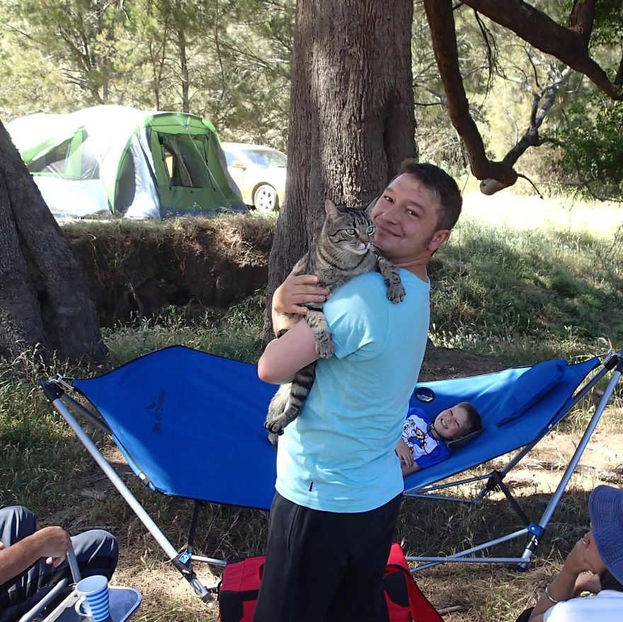 Our Cat Yoshi Loves To Adventure With His Family Our Cat Yoshi Loves To Adventure With His Family