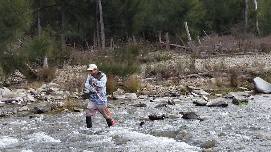 Our Cat Yoshi Loves To Adventure With His Family