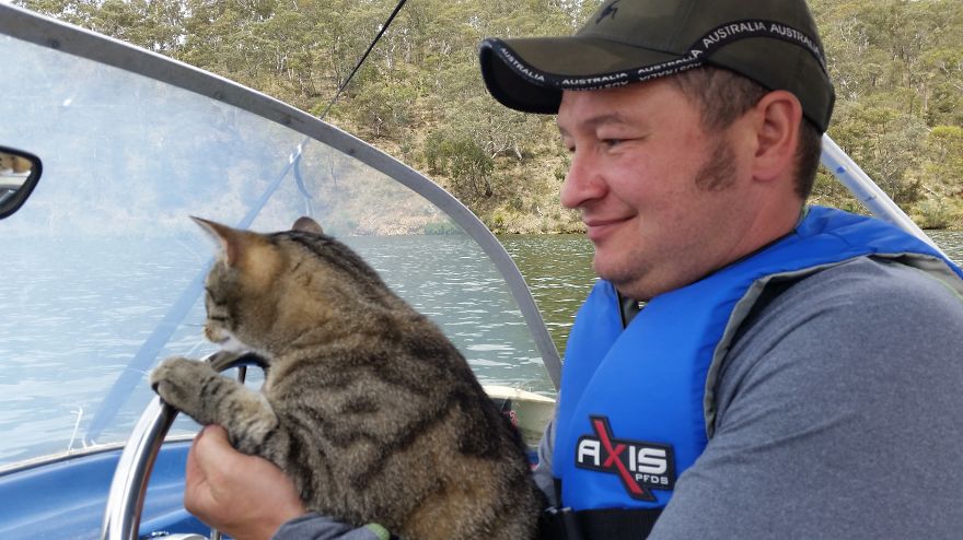 Our Cat Yoshi Loves To Adventure With His Family Our Cat Yoshi Loves To Adventure With His Family