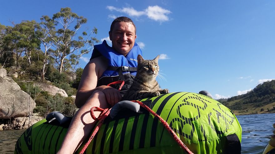 Our Cat Yoshi Loves To Adventure With His Family