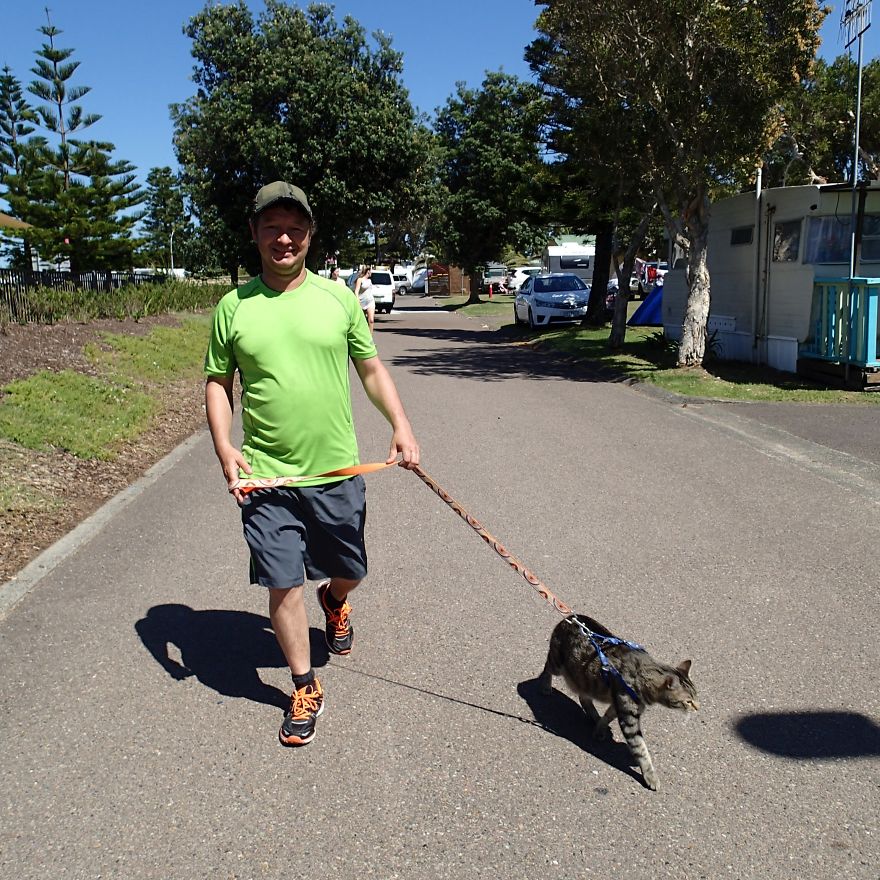 Our Cat Yoshi Loves To Adventure With His Family Our Cat Yoshi Loves To Adventure With His Family