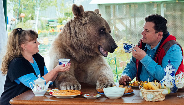 Russian Couple Adopted An Orphaned Bear 23 Years Ago, And They Still Live Together