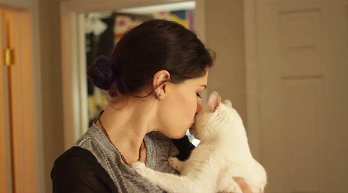 adopted-cat-twisted-arms-legs-pretzel-18