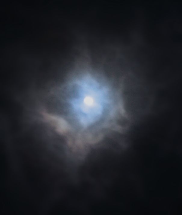 Angle Dove Rising To Heaven - Trinityhawk ©