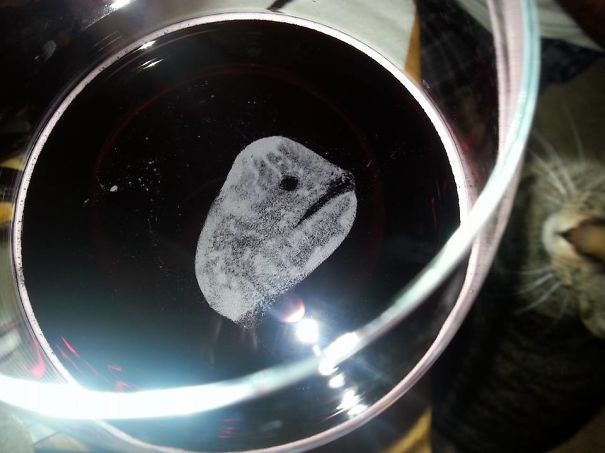 Beer Whale ... Poured A Beer Into My Glass How The Foam Came Together After A Few Minutes ....