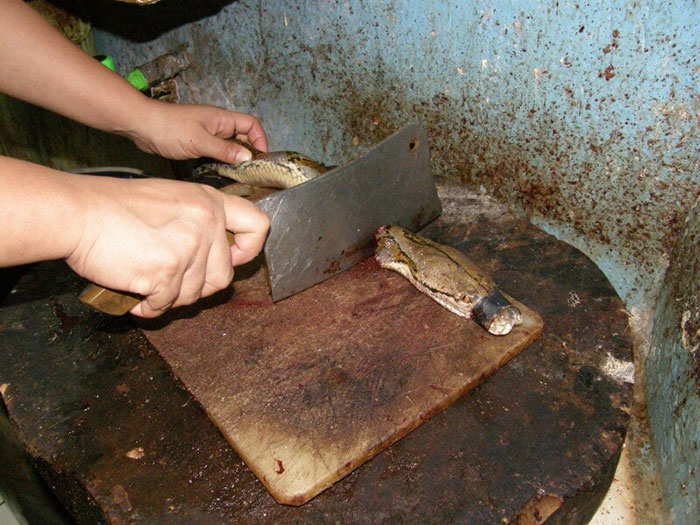 behind-leather-bag-anti-animal-cruelty-campaign-peta-asia-11 behind-leather-bag-anti-animal-cruelty-campaign-peta-asia-11