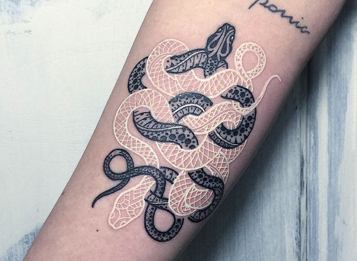 Black And White Snake Tattoos By Mirko Sata