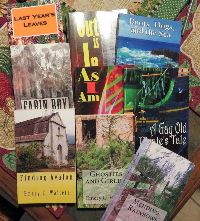 I Write Stories Of Struggle, Humor And Hope.