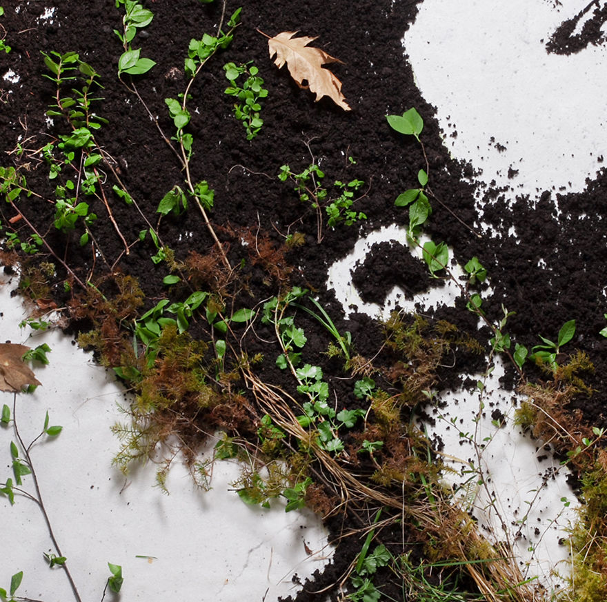 I Made A Benjamin Clementine Portrait From Peat And Moss