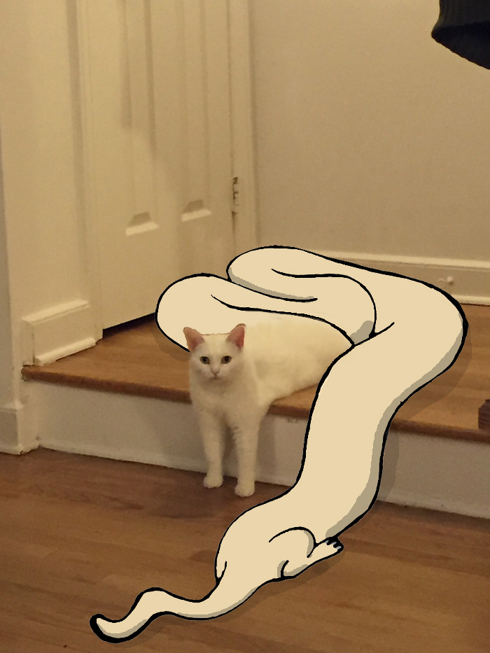 Long Cat