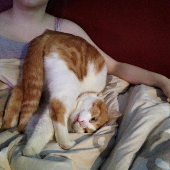 Something Wrong With This One..