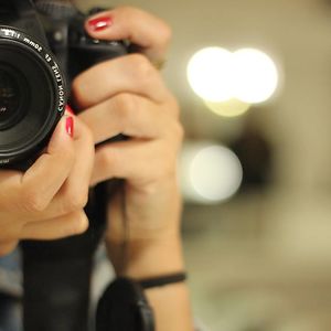 sara-david-ramos avatar