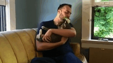 You Can Finally Lick Your Cat With This Innovative Pet Brush