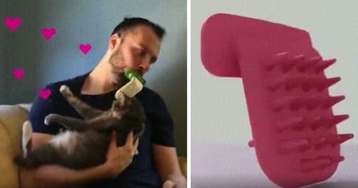 You Can Finally Lick Your Cat With This Innovative Pet Brush
