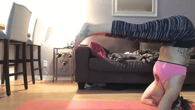 The Funniest Cat Gifs On The Internet