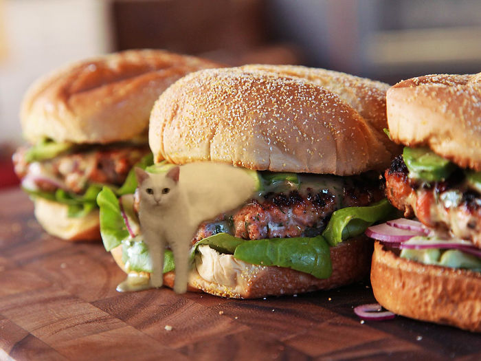 Catburger