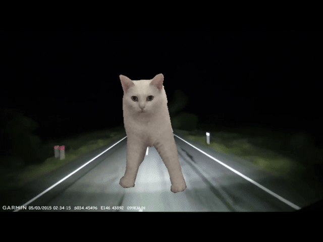 It Will Chase You Forever