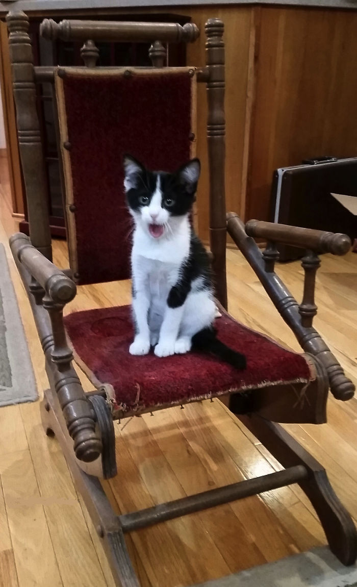 Bob Sings Opera In His Spare Time