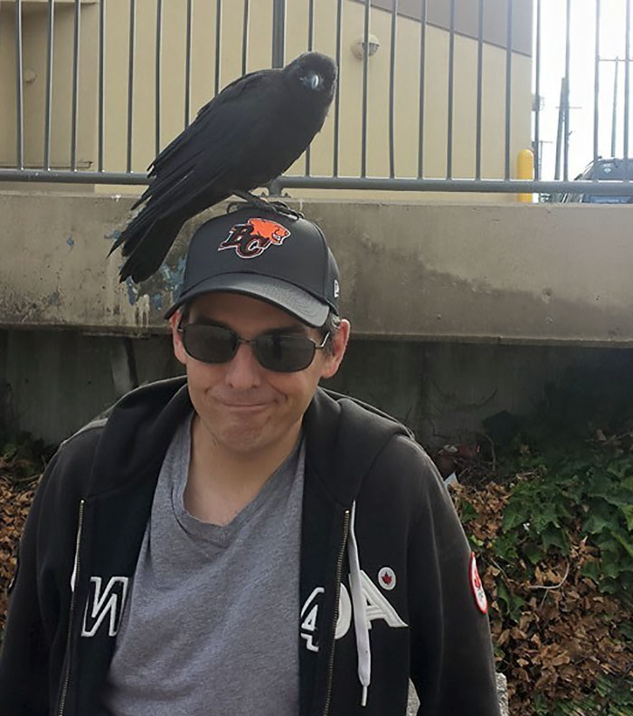crow-befriends-man-canuck-1
