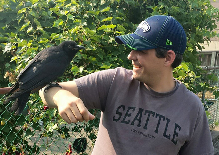 crow-befriends-man-canuck-12 crow-befriends-man-canuck-12