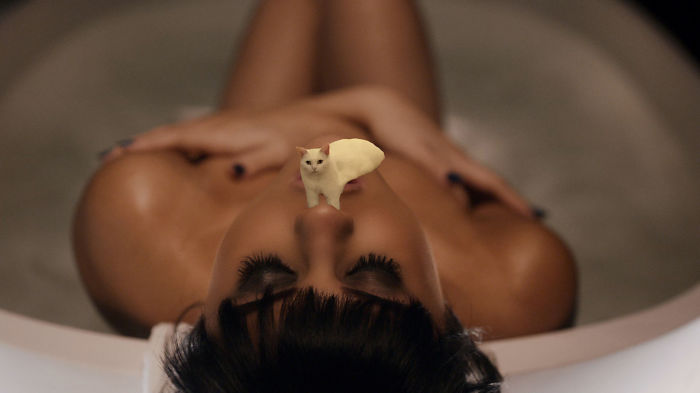 Can't Keep My Paws To Myself