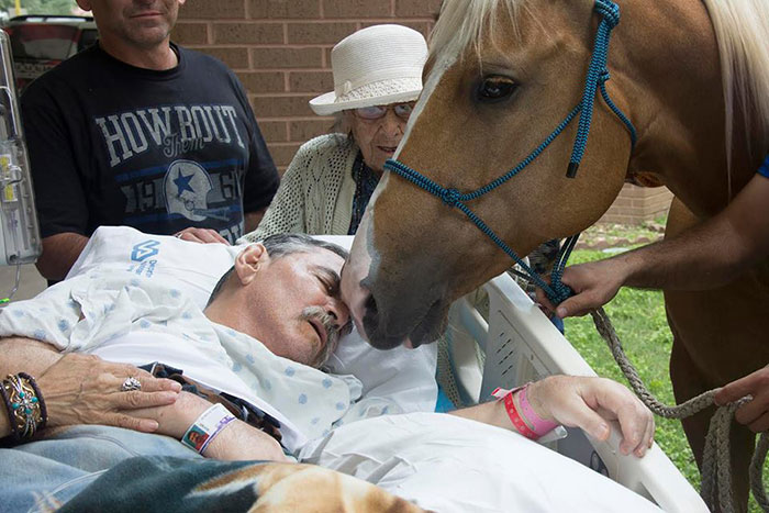 dying-veteran-horse-best-friend-roberto-gonzales-1 dying-veteran-horse-best-friend-roberto-gonzales-1