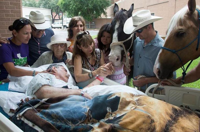 dying-veteran-horse-best-friend-roberto-gonzales-5 dying-veteran-horse-best-friend-roberto-gonzales-5