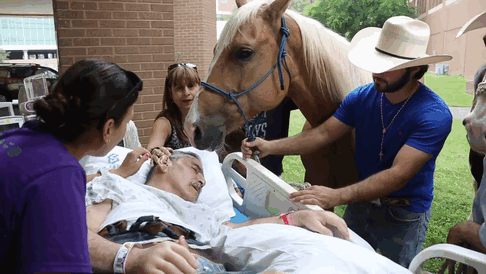 dying-veteran-horse-best-friend-roberto-gonzales-6