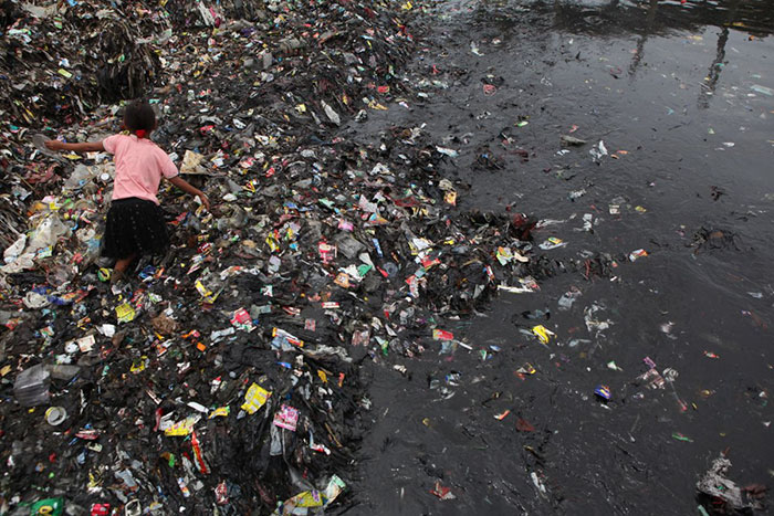 edible-six-pack-beer-rings-safe-for-marine-life-saltwater-brewery-1 edible-six-pack-beer-rings-safe-for-marine-life-saltwater-brewery-1