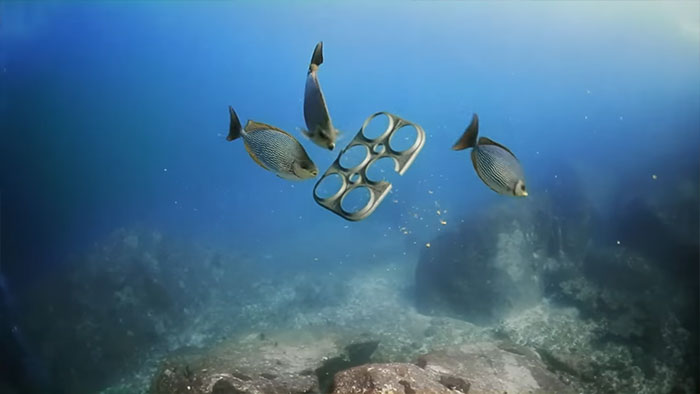 edible-six-pack-beer-rings-safe-for-marine-life-saltwater-brewery-6 edible-six-pack-beer-rings-safe-for-marine-life-saltwater-brewery-6