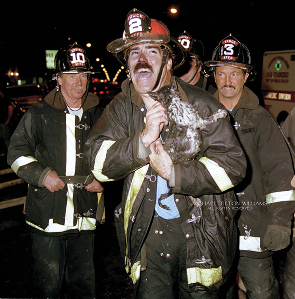 Besides This Kitten, Which Survived, Firefighters Also Rescued Several Dogs, A Bird In A Cage, And A 9 Foot Python. No Humans Were Harmed In This Fire