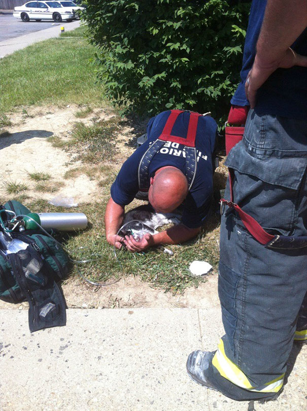 Here Is A Firefighter Saving One Of My Mentally Challenged Neighbor's Cats