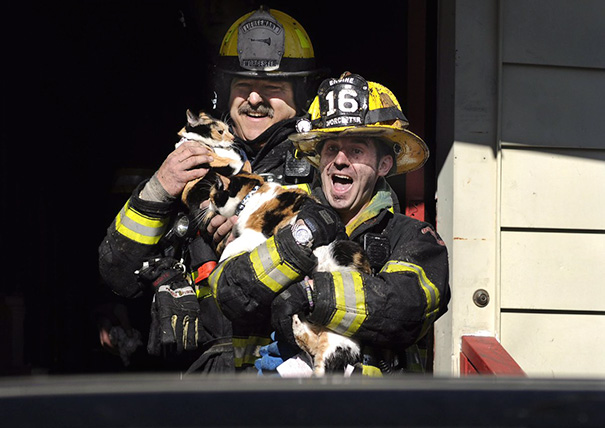 Worcester Firefighters Save Pets From Blaze