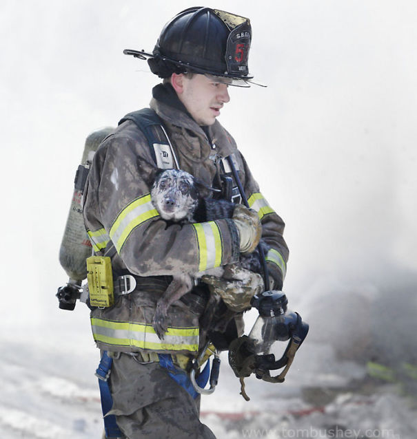 Firefighter Erik Vath Carries A Dog Away From A Fire