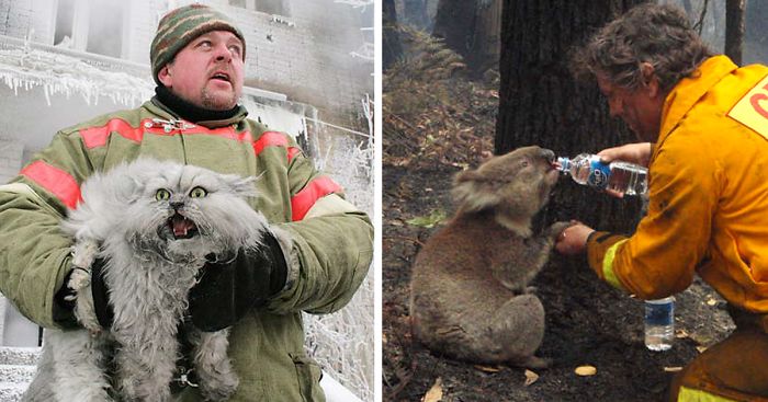 48 Firefighters Who Risked Their Lives To Save Animals