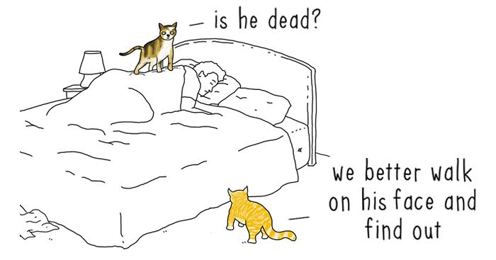 If Animals Could Talk (30 Pics)