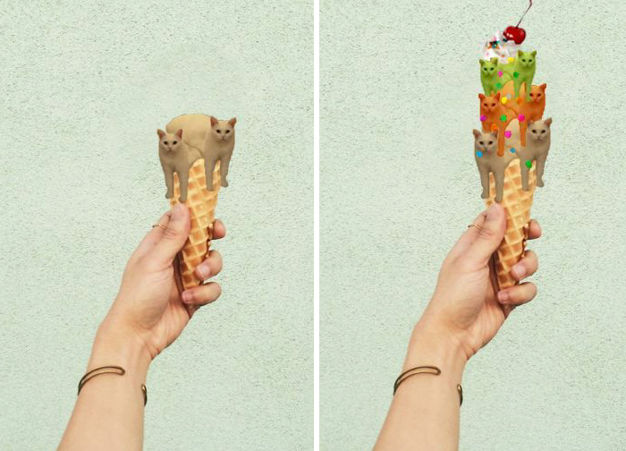 Melted Catramel Icecream