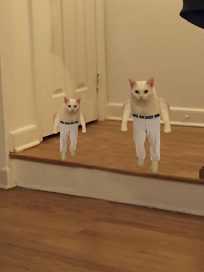 Don't Talk To Me Or My Kitten Ever Again