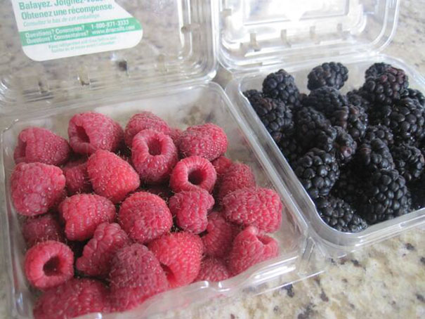 I Asked My Husband To Help Me Pick Up Raspberries And Blueberries, And This Is What He Came Back With