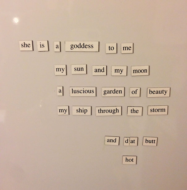 My Wife Didn't Appreciate My Fridge Magnet Poem