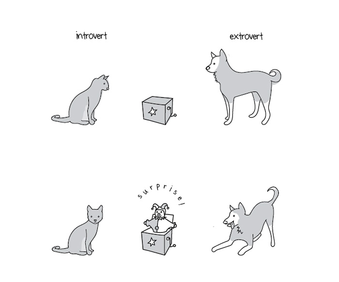 Funny Introvert Comics