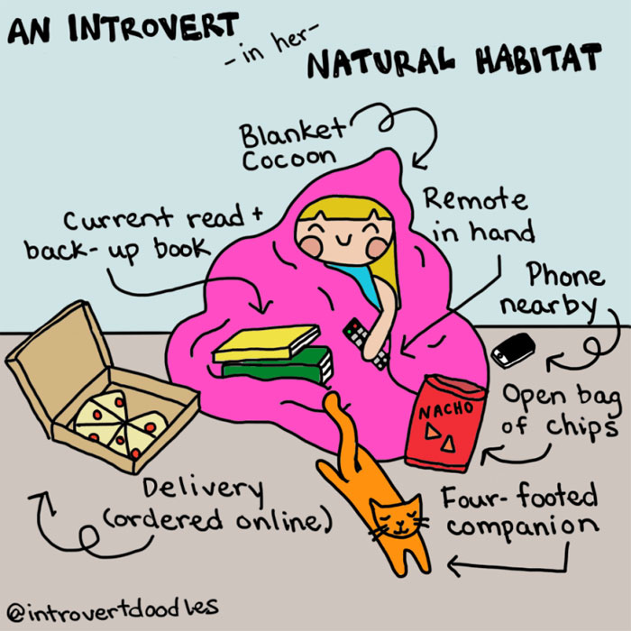 Funny Introvert Comics