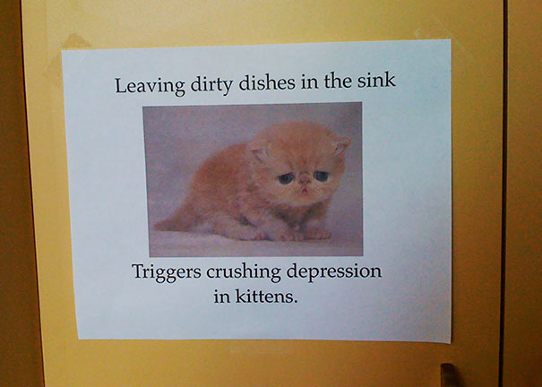 Not The Kittens, Please