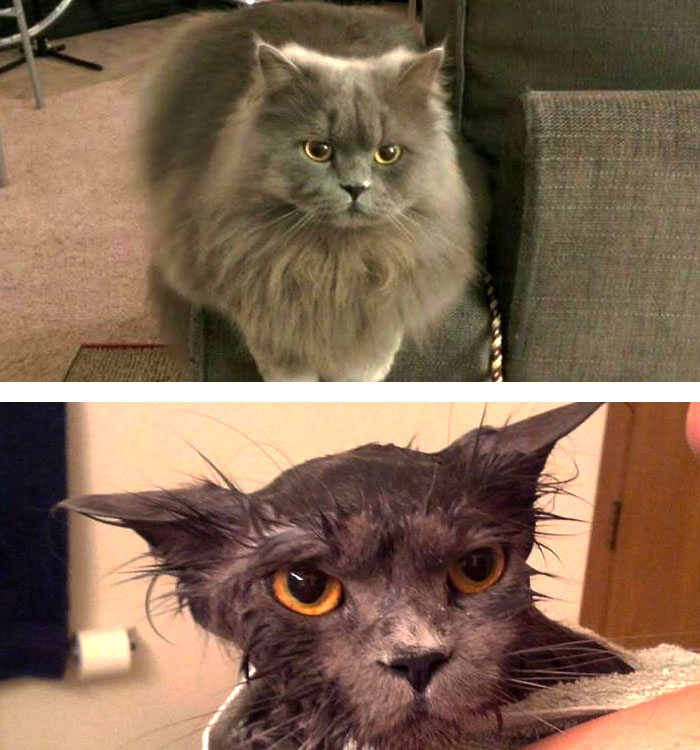 Before Vs. After Bath