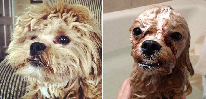 Before Vs. After Bath