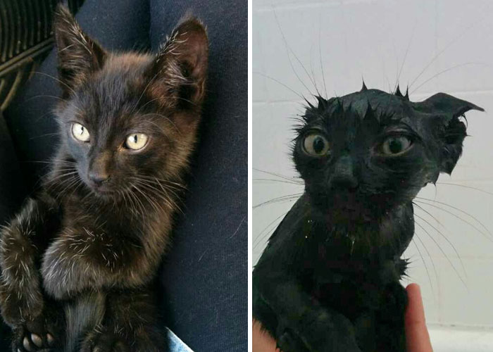 Before Vs. After Bath